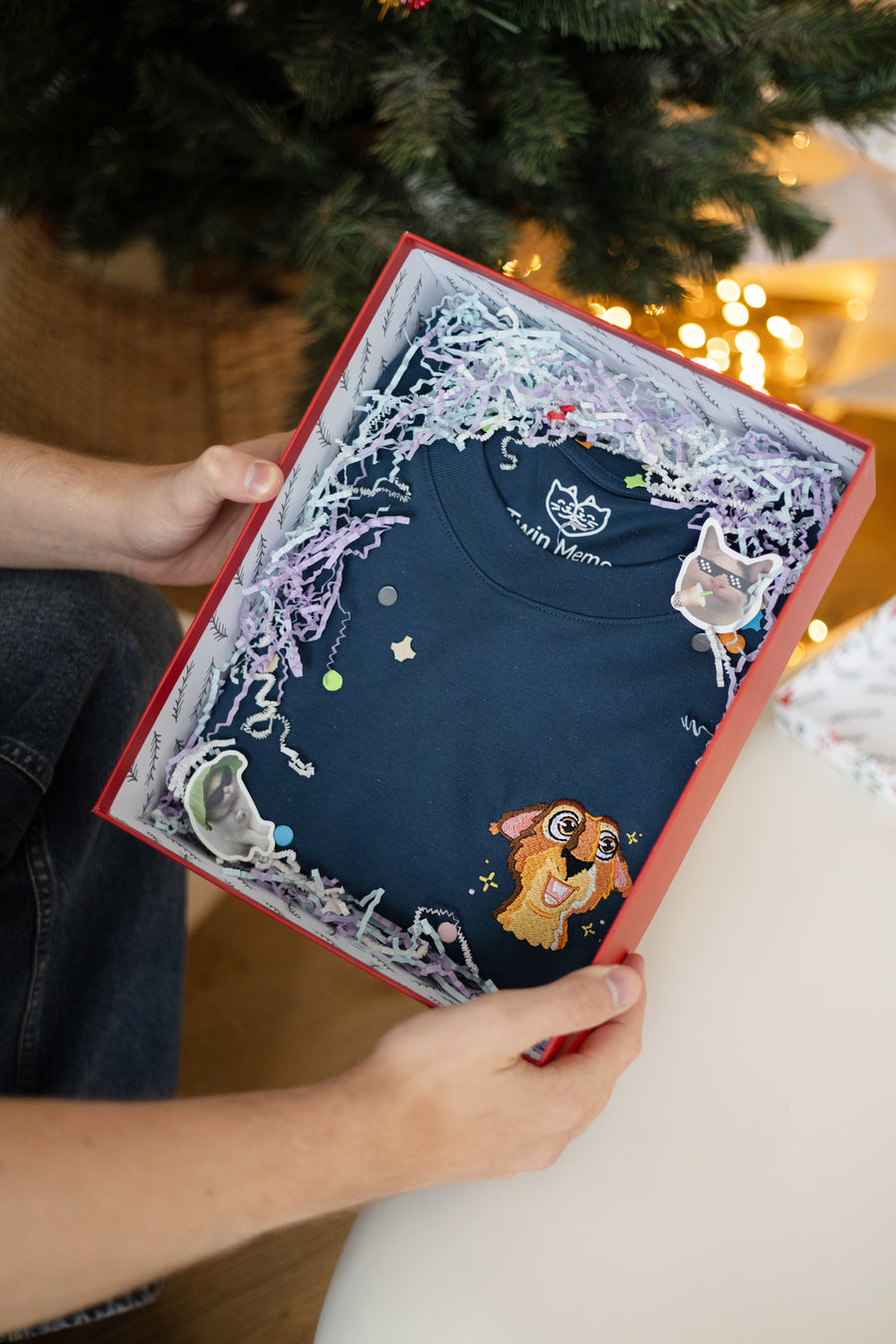 Joymates - Twin Meme